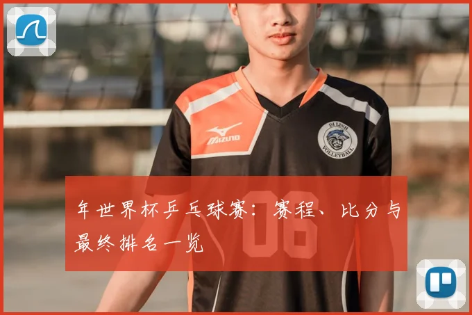 年世界杯乒乓球赛：赛程、比分与最终排名一览