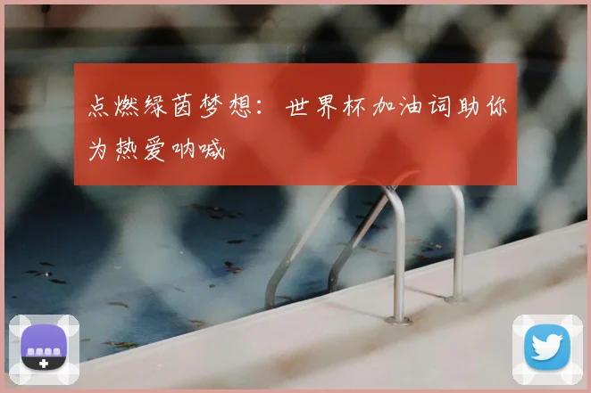 点燃绿茵梦想:世界杯加油词助你为热爱呐喊