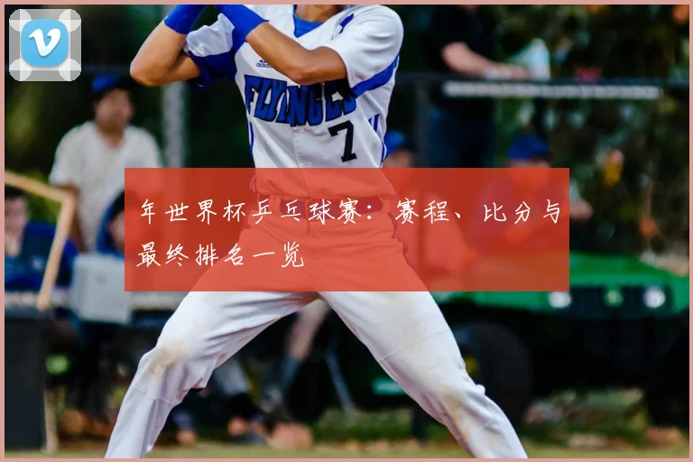年世界杯乒乓球赛：赛程、比分与最终排名一览