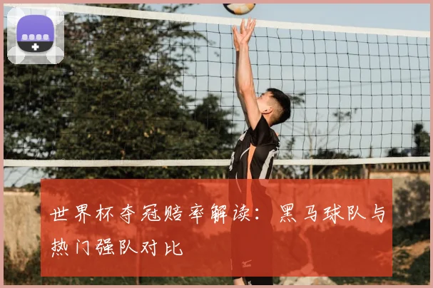 世界杯夺冠赔率解读:黑马球队与热门强队对比