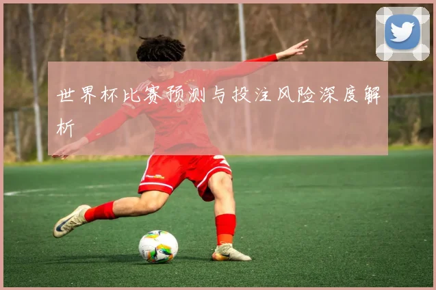 世界杯比赛预测与投注风险深度解析