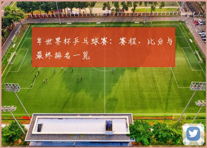 年世界杯乒乓球赛：赛程、比分与最终排名一览